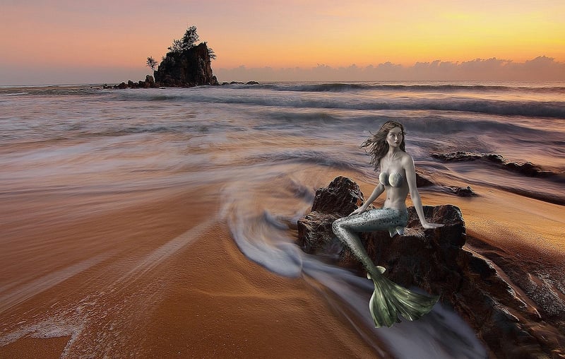 Mermaid Oasis