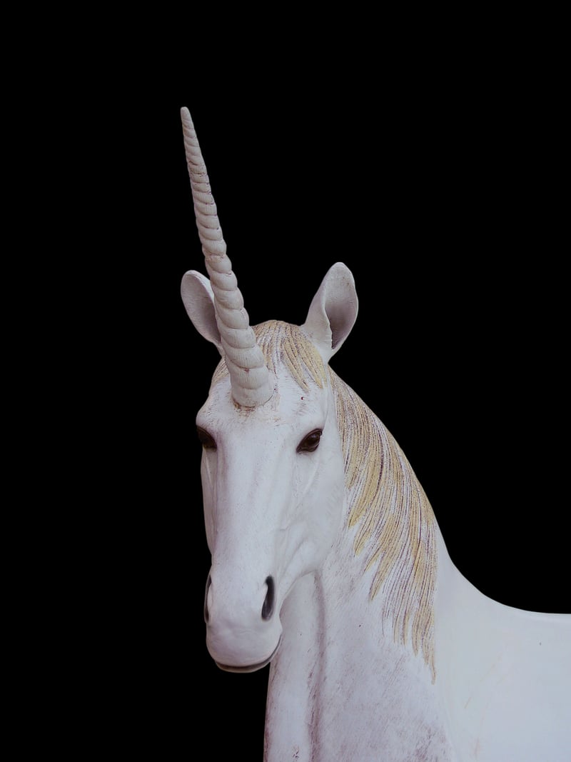 Unicorn Garden Sanctuary